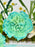 Cute Money Arrangement