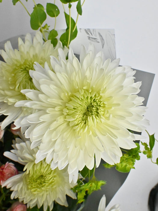 Petals of Muse Signature Arrangement