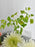 Petals of Muse Signature Arrangement