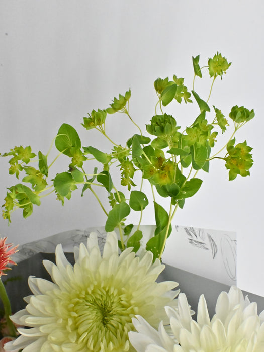 Petals of Muse Signature Arrangement