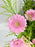 Petals of Muse Signature Arrangement