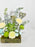 Brunia Money Garden