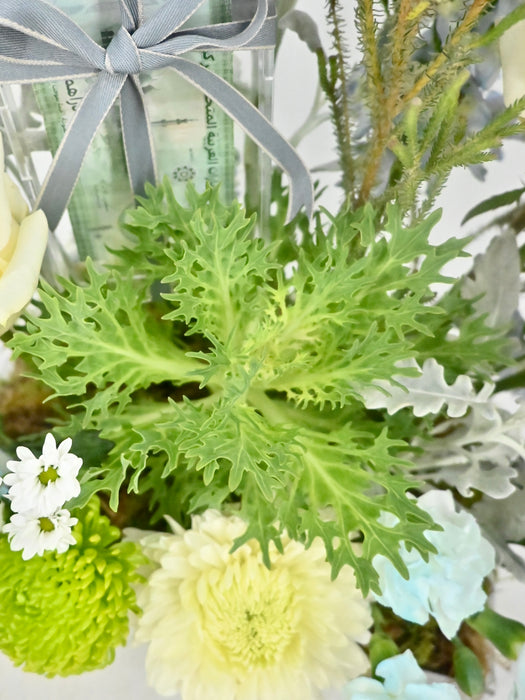 Brunia Money Garden