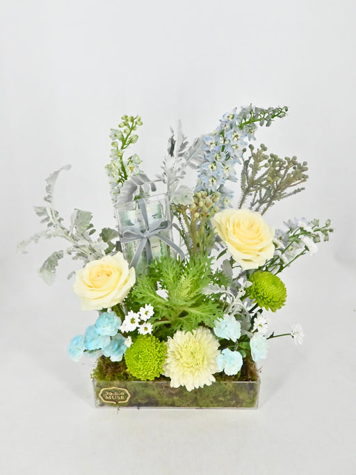 Brunia Money Garden