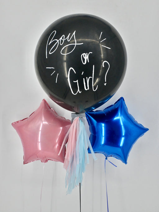 Gender Reveal