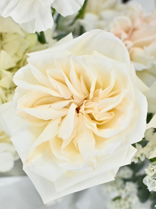 White Bouquet