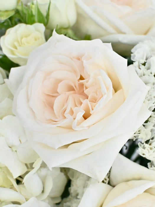 White Pearl