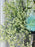 Ocean Breeze Blossom Tote