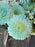 Ocean Breeze Blossom Tote