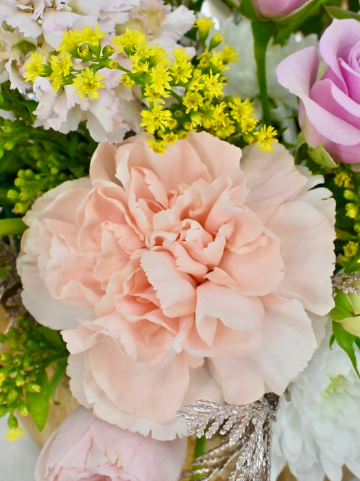 Novia Money Arrangement