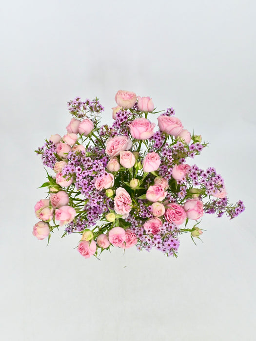 Pink Blossom