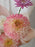 Blush & Symphony Bouquet
