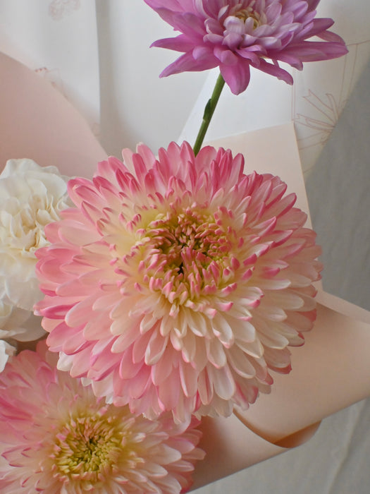 Blush & Symphony Bouquet