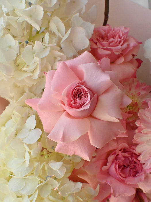 Blush & Symphony Bouquet