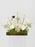 White Graduation Money Garden