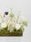 White Graduation Money Garden
