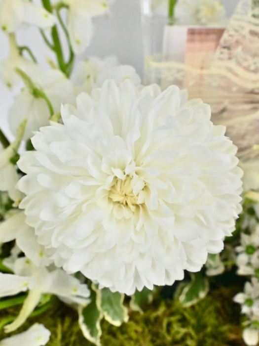 White Graduation Money Garden
