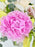 Bernhardt Blooms
