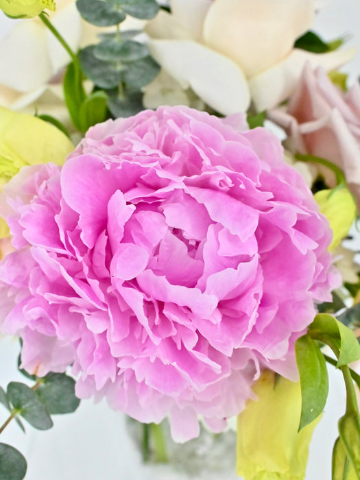 Bernhardt Blooms