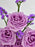 Purply
