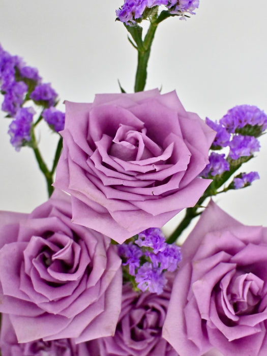 Purply