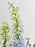Luvy Garden