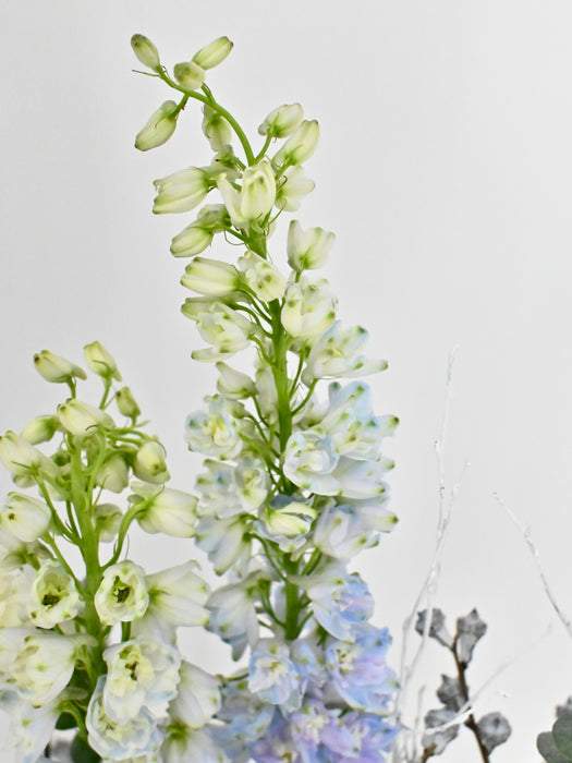 Luvy Garden
