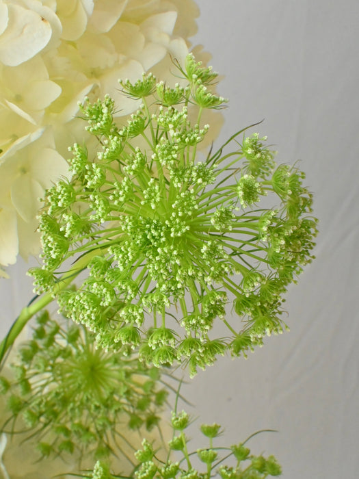 Bright Future Floral Dream
