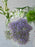 Chromatic Gradient Bud Vase Collection
