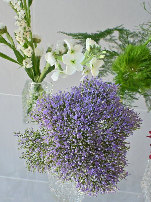 Chromatic Gradient Bud Vase Collection