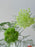 Chromatic Gradient Bud Vase Collection