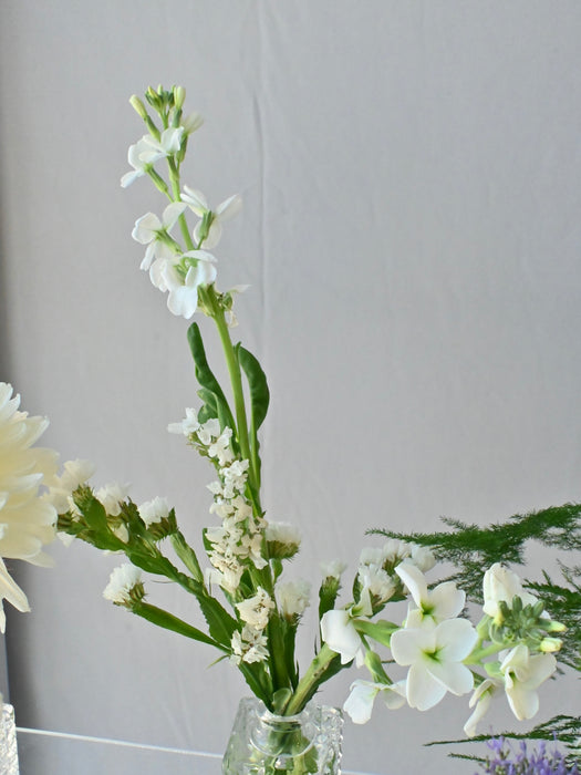 Chromatic Gradient Bud Vase Collection