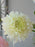 Chromatic Gradient Bud Vase Collection