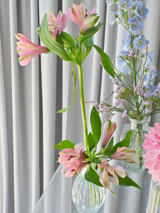 Chromatic Gradient Bud Vase Collection