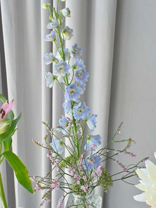 Chromatic Gradient Bud Vase Collection