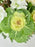 Brassica Bloom