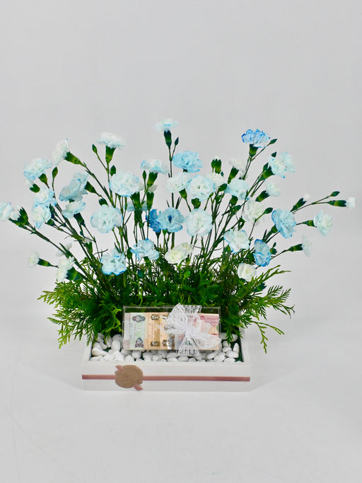 Baby Blue Money Arrangement