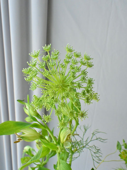 Rawda Floral Display