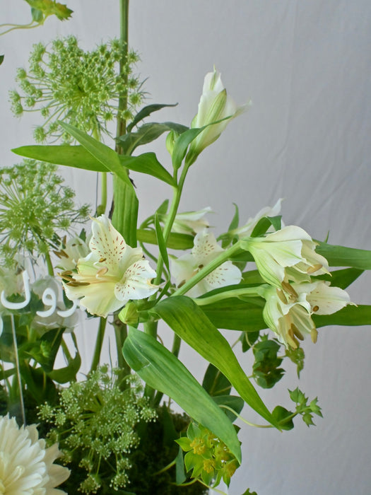 Rawda Floral Display
