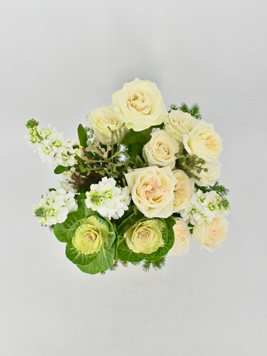 Brassica Bloom
