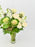 Brassica Bloom