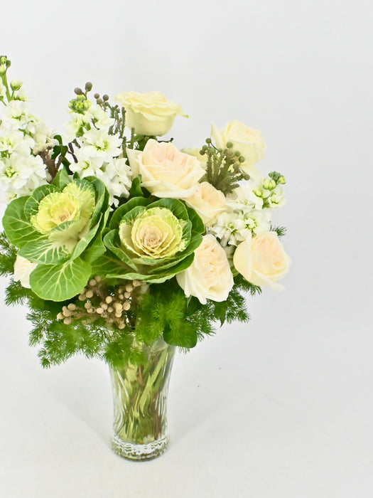 Brassica Bloom