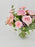Rose Deluxe