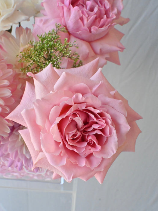 Blushing Pastel Acrylic Money Arrangement