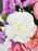Lady Garden