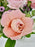 Rose Deluxe