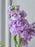 Blushing Pastel Acrylic Money Arrangement