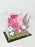 Cottony Pink