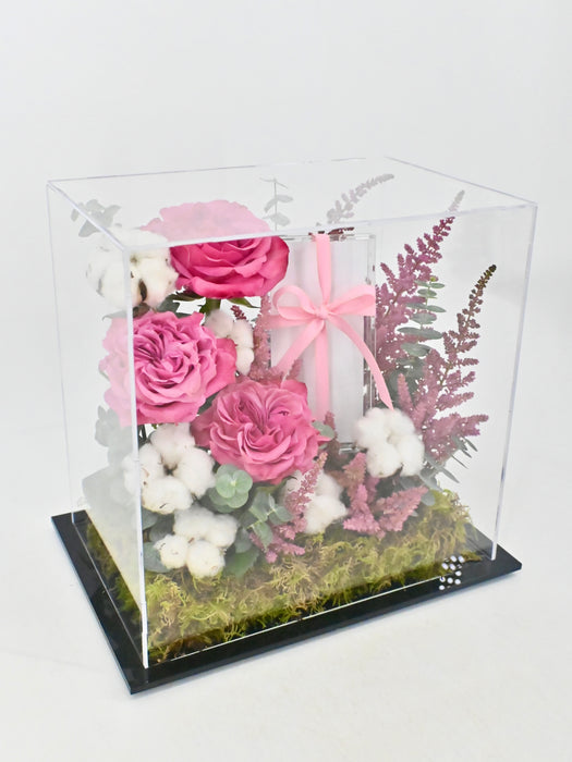 Cottony Pink