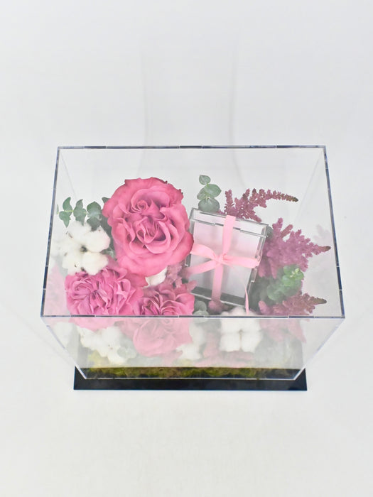 Cottony Pink